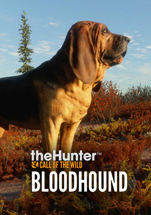 theHunter: Call of the Wild - Bloodhound